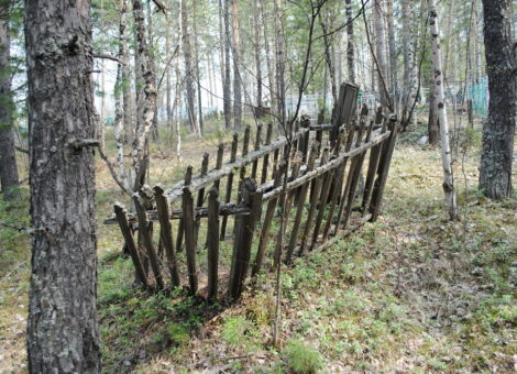 Фотография А.Л.Попова. Фотофиксация 22.05.2012