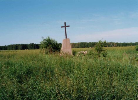 Источник: http://www.gedenkbuch.rusdeutsch.ru/nekropoli-i-pamyatnye-znaki/chelyabinskaya-oblast