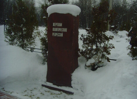 Фотография 2011 года. Источник: Сайт «Общество некрополистов». – http://necropolist.info/otchet-11.html